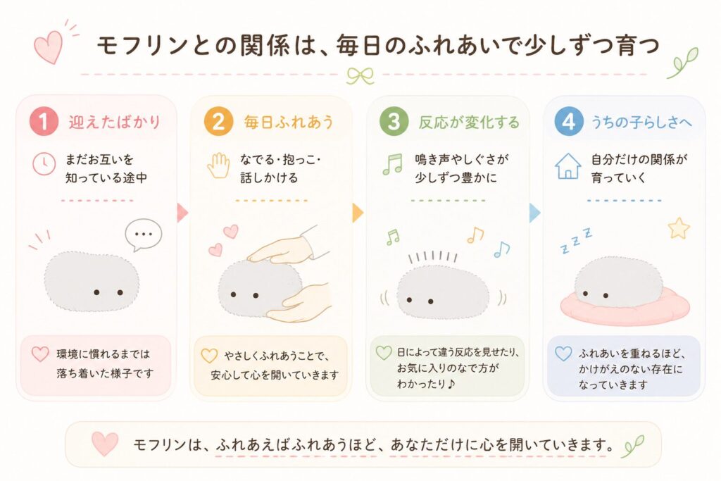 毎日のふれあいでモフリンが少しずつ成長していく流れを表したイメージ図